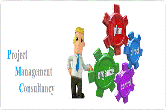 Project-Management-Consultancy-Services.gif